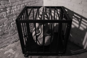 BDSM writers con, kink, fetishes, caged